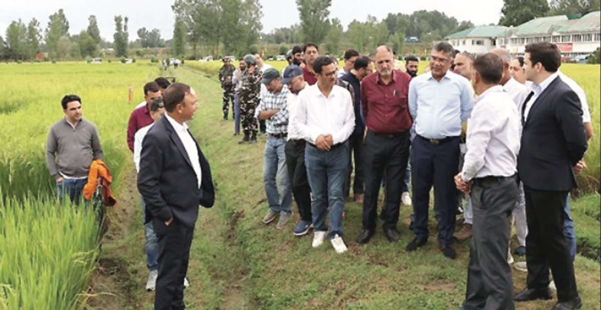Shailendra Kumar visits MRCFC Khudwani, reviews rice Biodiversity Research